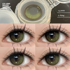 Lens Mắt Kính Áp Tròng Xanh Rêu Sáng Tây VIVI GREEN Giãn Ít Có Từ 0 Đến 6 Độ Lệch Độ Size S 14.2mm - GSLENS