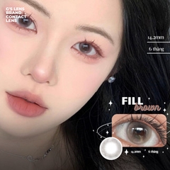 Kính áp tròng 6 tháng FILL BROWN màu nâu trong tự nhiên giãn tròng nhỏ GTRENDY - AL Color 38