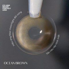 Kính áp tròng 6 tháng OCEAN BROWN màu nâu sáng tây giãn tròng nhỏ GTRENDY - MCK1