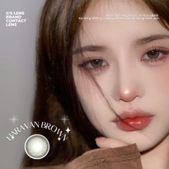 Kính áp tròng 6 tháng HARAVAN BROWN màu nâu rêu tự nhiên giãn tròng nhỏ GTRENDY - MC38