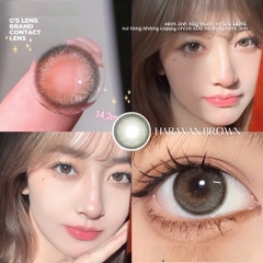 Kính áp tròng 6 tháng HARAVAN BROWN màu nâu rêu tự nhiên giãn tròng nhỏ GTRENDY - MC38