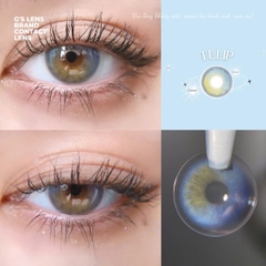 Kính áp tròng 6 tháng TULIP BROWN màu nâu xanh sáng tây giãn tròng nhỏ GTRENDY - MC38
