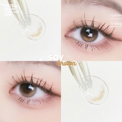 Kính áp tròng 6 tháng SOY BROWN màu nâu tự nhiên không giãn tròng