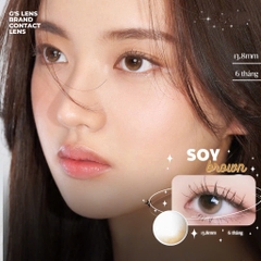 Kính áp tròng 6 tháng SOY BROWN màu nâu tự nhiên không giãn tròng