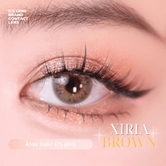 Kính áp tròng 6 tháng XIRIA BROWN màu nâu sáng tây giãn tròng nhỏ GTRENDY - MC38