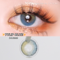 Kính áp tròng 6 tháng TULIP BROWN màu nâu xanh sáng tây giãn tròng nhỏ GTRENDY - MC38