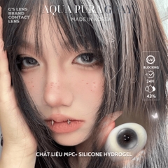 Kính áp tròng 6 tháng AQUA PURA GRAY màu xám sáng tây giãn tròng nhỏ