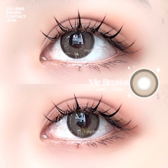 Kính áp tròng 6 tháng VIE BROWN màu nâu tự nhiên giãn tròng nhỏ GTRENDY - AL Color 38