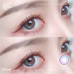 Kính áp tròng 6 tháng TULIP VIOLET BLUE màu tím xanh sáng tây giãn tròng nhỏ GTRENDY - MC38