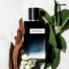 Nước Hoa Nam Yves Saint Laurent Y EDP 200ml