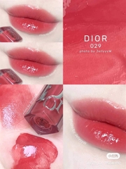 Son kem bóng Dior mini 029