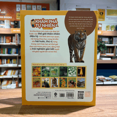 Bộ khám phá tự nhiên quanh em: Biết tuốt về con Hổ 45k