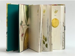 Remarkable plants: Five-year journal