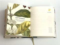 Remarkable plants: Five-year journal