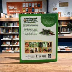 Bộ khám phá tự nhiên quanh em: Biết tuốt về cây Chua Me Đất 45k