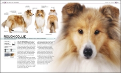 Complete dog breed BK 1099k