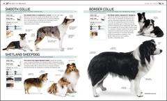 Complete dog breed BK 1099k