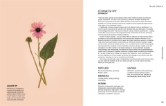 Plants for the people: a modern guide to plant medicine