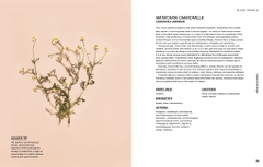 Plants for the people: a modern guide to plant medicine