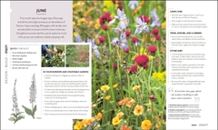 How to Create Your Garden: Ideas and Advice for Transforming Your Outdoor Space