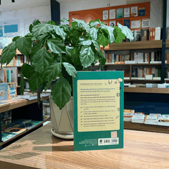 Bạn thông minh hơn bạn nghĩ 139k