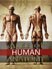 Z- Atlas Of Human Anatomy