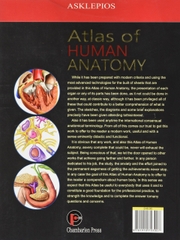 Z- Atlas Of Human Anatomy