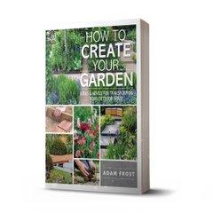 How to Create Your Garden: Ideas and Advice for Transforming Your Outdoor Space