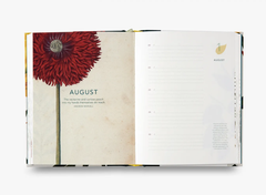 Remarkable plants: Five-year journal