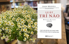 Luật trí não 199k