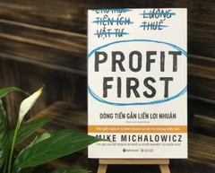 dòng tiền gắn liền lợi nhuận 169k