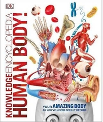 Knowledge Encyclopedia Human Body!