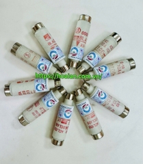 Cầu chì FUJI BLA010