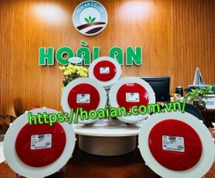 Phích cắm công nghiệp 5P 32A IP67 – F1252-6 (PCE, Austria)