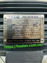 Máy bơm nước trục ngang TECO  TEGH90L2-2