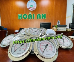 Đồng hồ áp suất 250Kg/cm2/3500psi , chân ngang,mặt 100- ren 17 - tra dầu