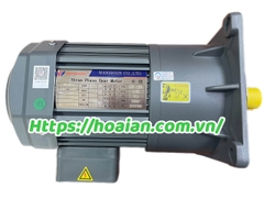 Motor giảm tốc 0.4kW (3P) Wanshsin GV28-400W20S
