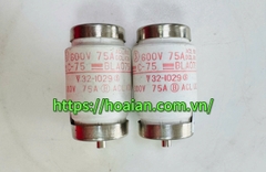 Cầu chì FUJI 75A BLA075