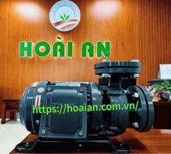 Máy bơm nước TECO 0.75HP TEGH80M1-2