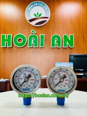 Đồng hồ áp chân đứng China 40mmx1/8" 0-160bar