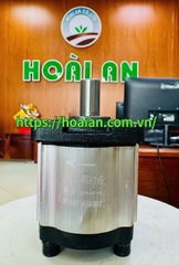 Bơm trục bánh răng China CBT-F316