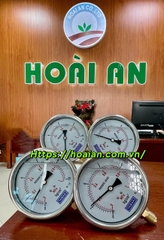 Đồng hồ áp suất (250kg ren 13)-tra dầu