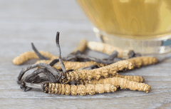 Đông Trùng Hạ Thảo Khô - Công Dụng Và Cách Dùng Hiệu Quả