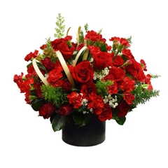 Chậu hoa hồng đỏ cẩm chướng