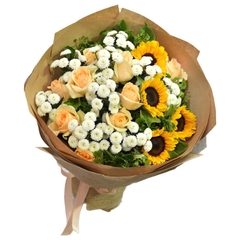 Chậu hoa hồng môn hướng dương