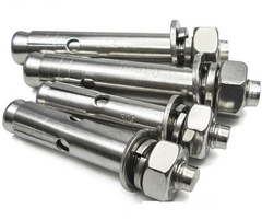 Nở đạn inox 304 M12