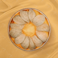 Tổ yến rút lông thường