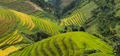 Embark on a Memorable 3 Days 2 Nights Sapa Adventure via Limousine Bus - Fansipan Itinerary