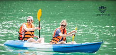 Alova Premium Cruise: Ha Long Bay 1 Day Group Tour for Unforgettable Experiences