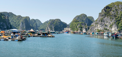 Ha Long 1 Day Group Cruise Tour | Explore Vietnam's Majestic Waters